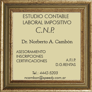 Estudio Contable Laboral Impositivo CNP Dr. Norberto A. Cambón  - Profesionales Bonzi Web - Aldo Bonzi