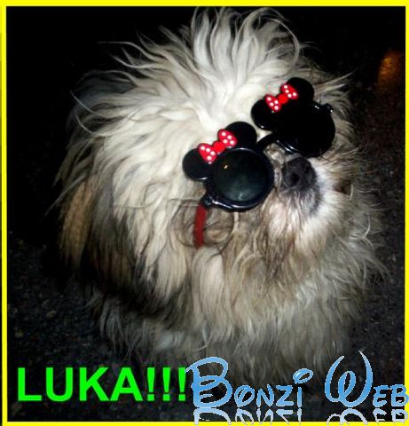 Luka  -  Las Mascotas, Aldo Bonzi  -  BonziWeb
