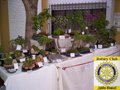 feria_artesanal_rotary_ (8)